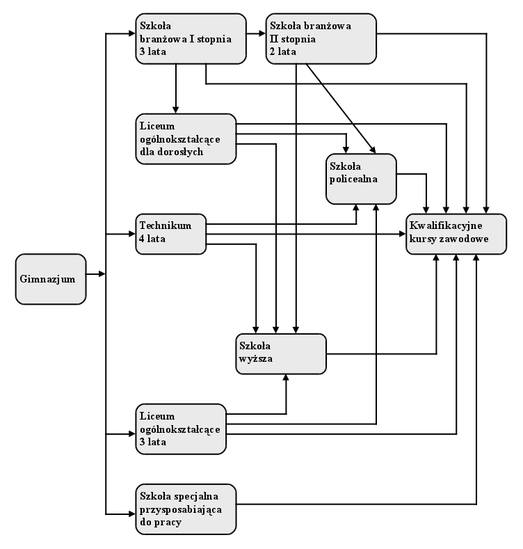 Sciezki Edukacyjno Zawodowe Dla Absolwenta Gimnazjum Zsp Nr 4 W Lowiczu